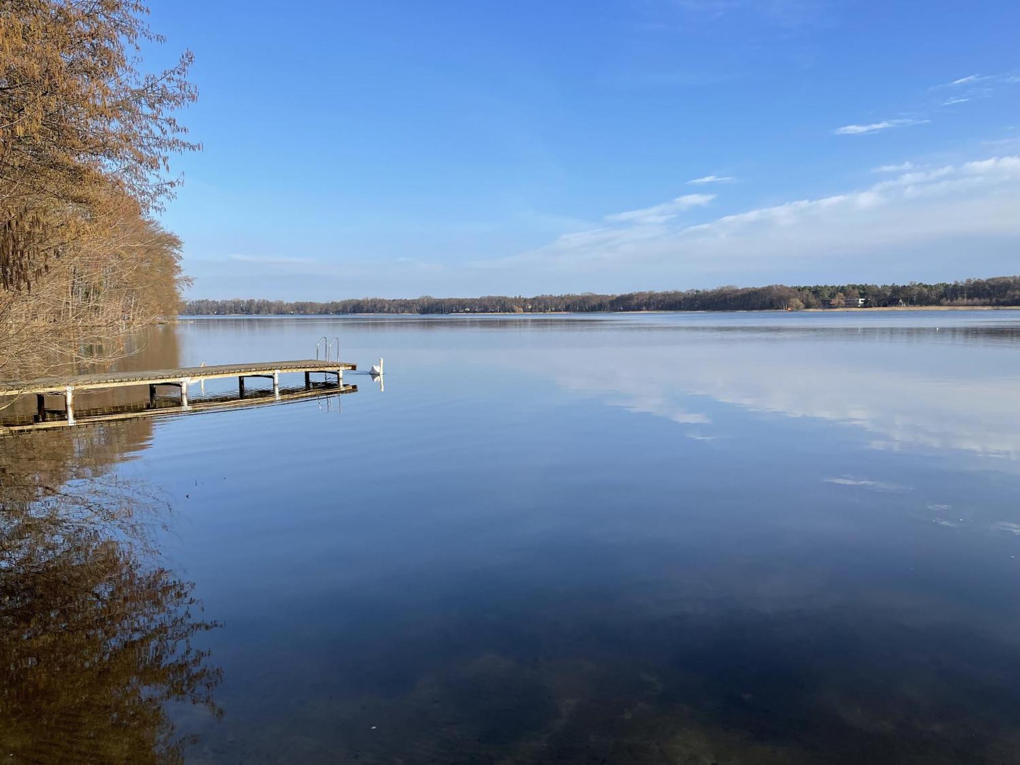 Ferienhaus Eichelhaeher Villa Zossen Bagian luar foto