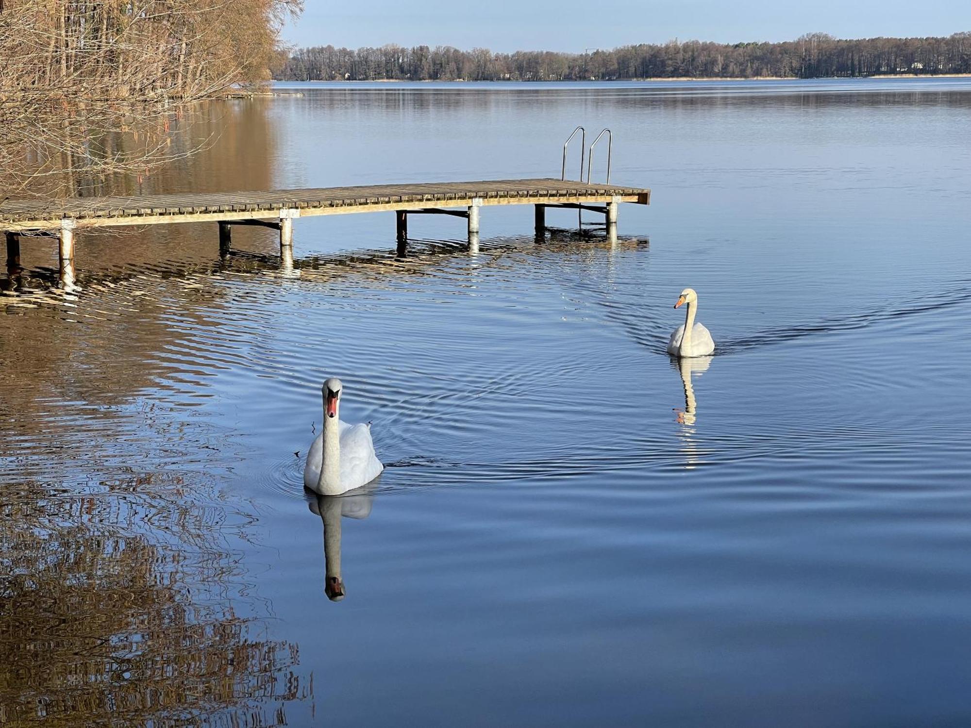 Ferienhaus Eichelhaeher Villa Zossen Bagian luar foto